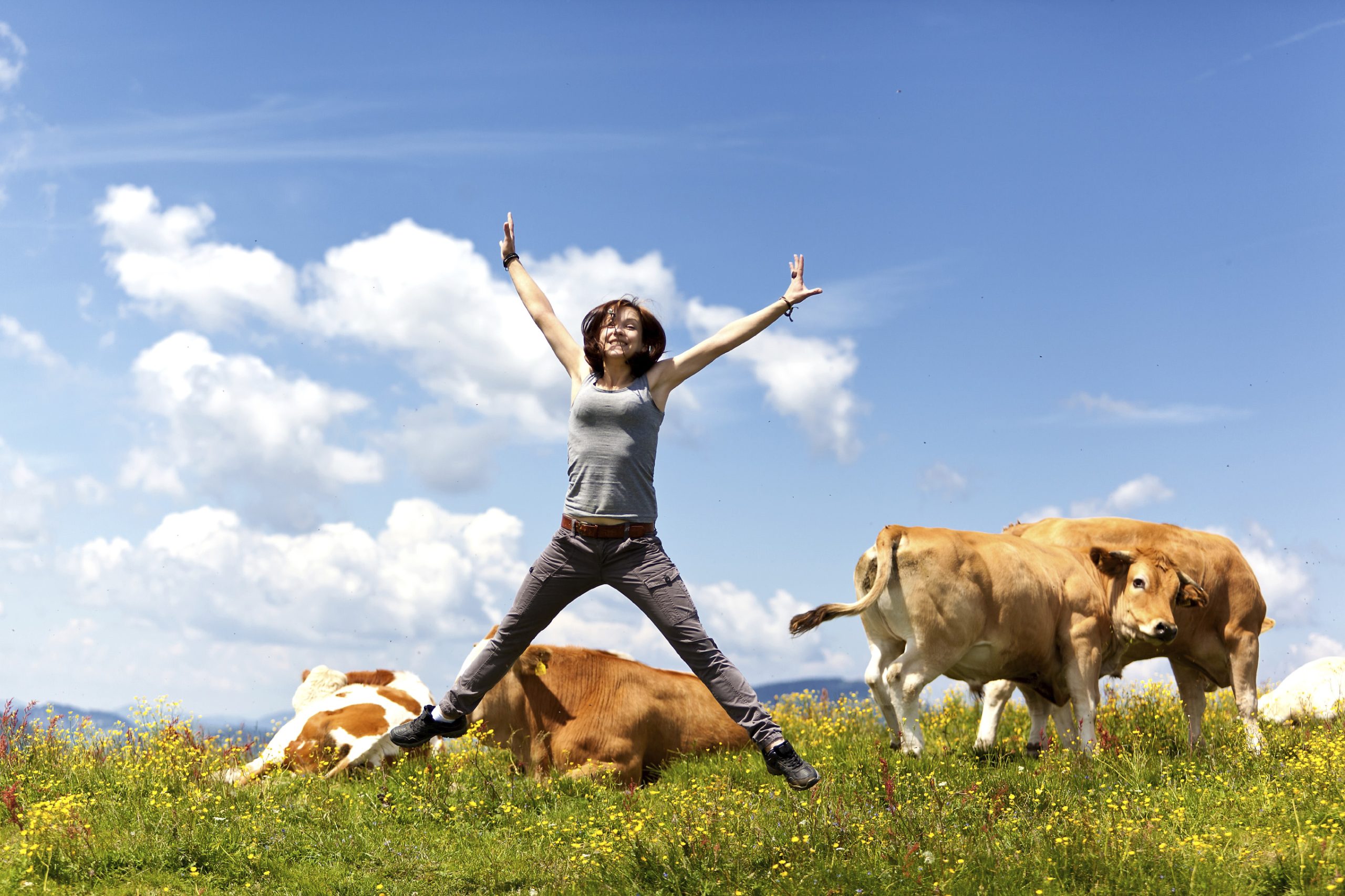 New USDA Guidelines: Coffee is In, Beef is Out and Cholesterol is Ok